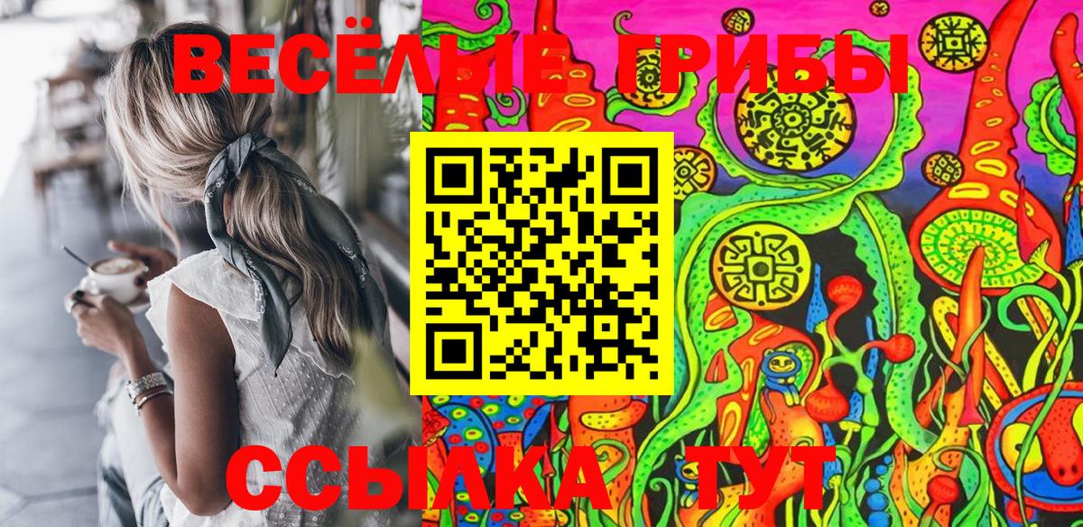 Псилоцибиновые грибы GOLDEN TEACHER Владимир