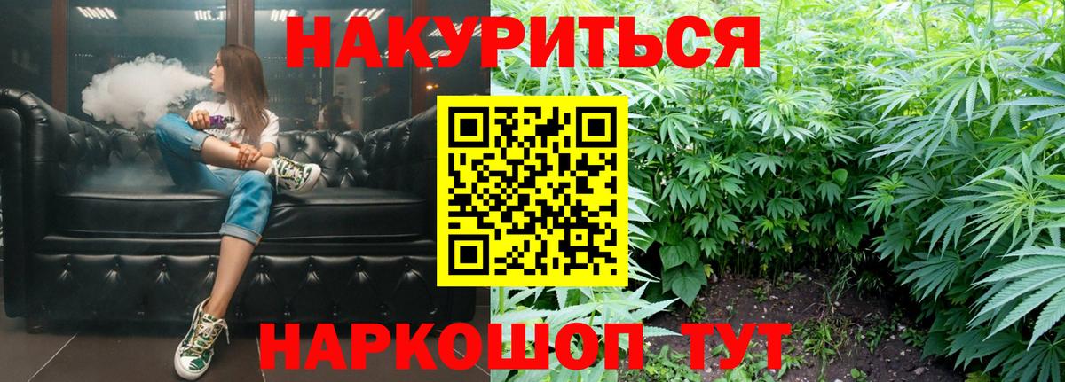 Конопля индика Владимир